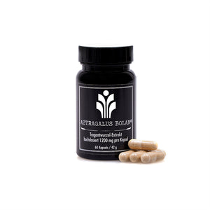 Astragalus Bolan