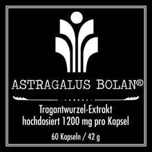 Laden Sie das Bild in den Galerie-Viewer, Astragalus Bolan