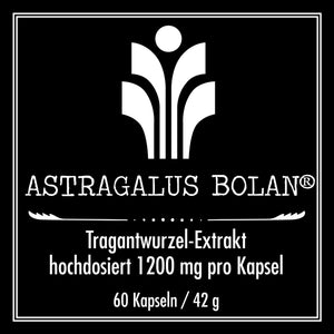 Astragalus Bolan