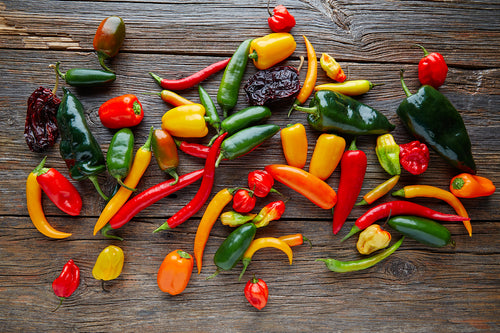 Capsicum Bolan